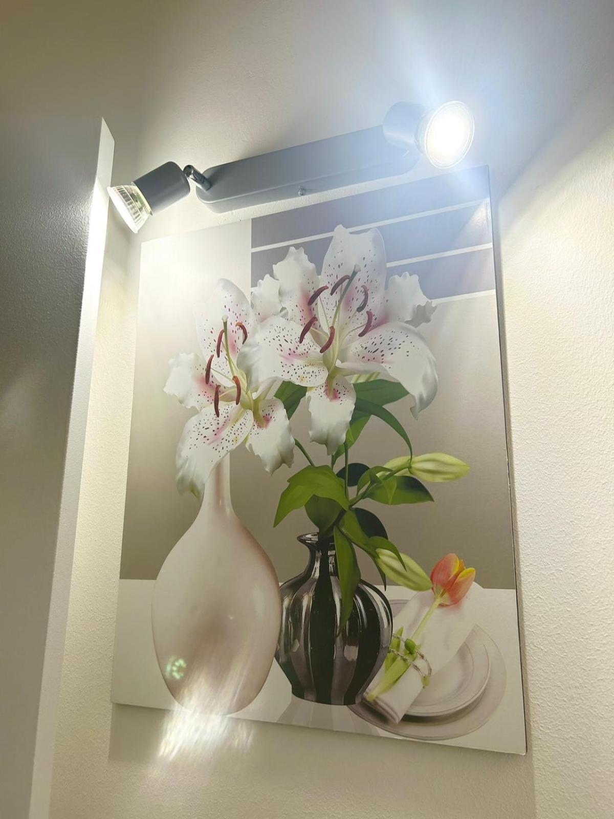 Apartments For Rent カターニア エクステリア 写真
